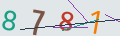 verifycode